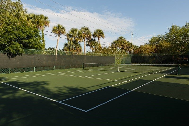 An outdoor tennis court surrounded by palm trees.