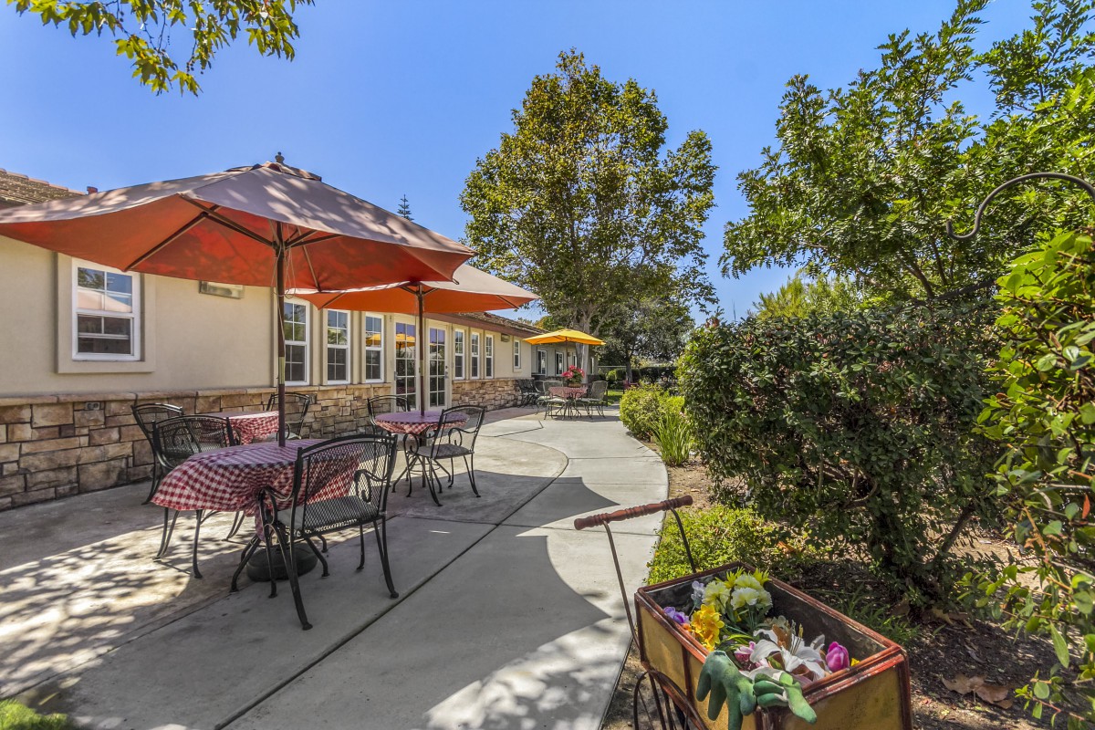 A sunny outdoor patio with tables, chairs, and umbrellas surrounded by greenery.