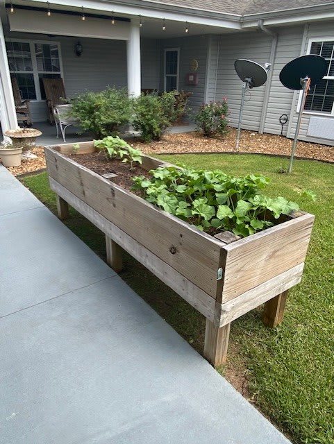 A raised wooden garden bed with lush green plants growing in an outdoor setting.