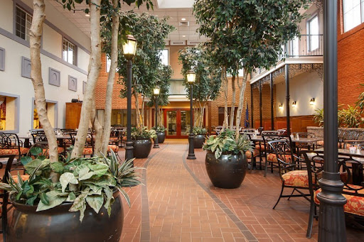 A serene hotel lobby featuring lush indoor plants and cozy seating arrangements.