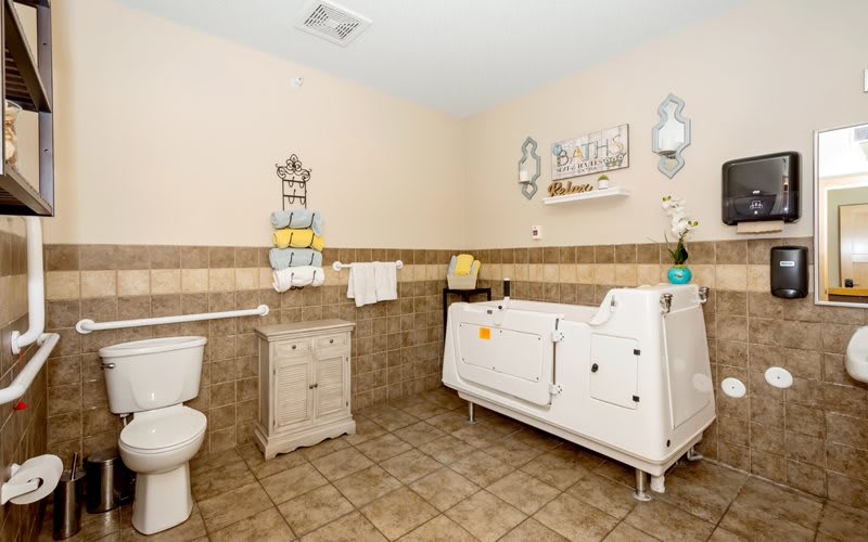 A spacious bathroom featuring an accessible bathtub with safety handrails, a toilet, and decorative elements.