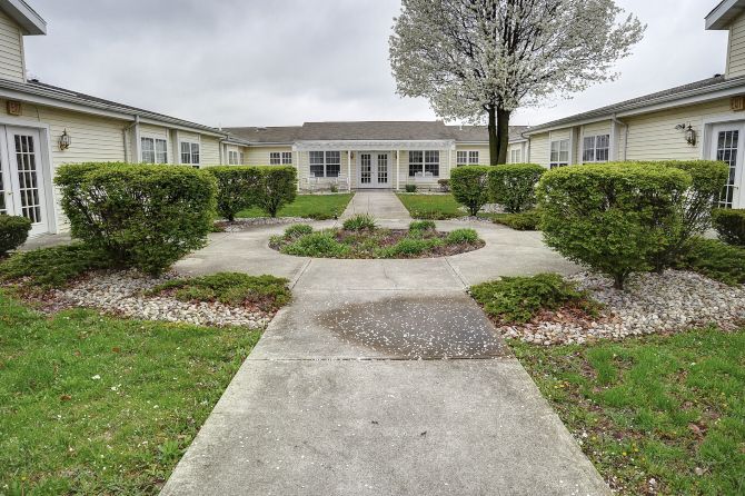 A serene courtyard with pathways surrounded by hedges and a central tree.