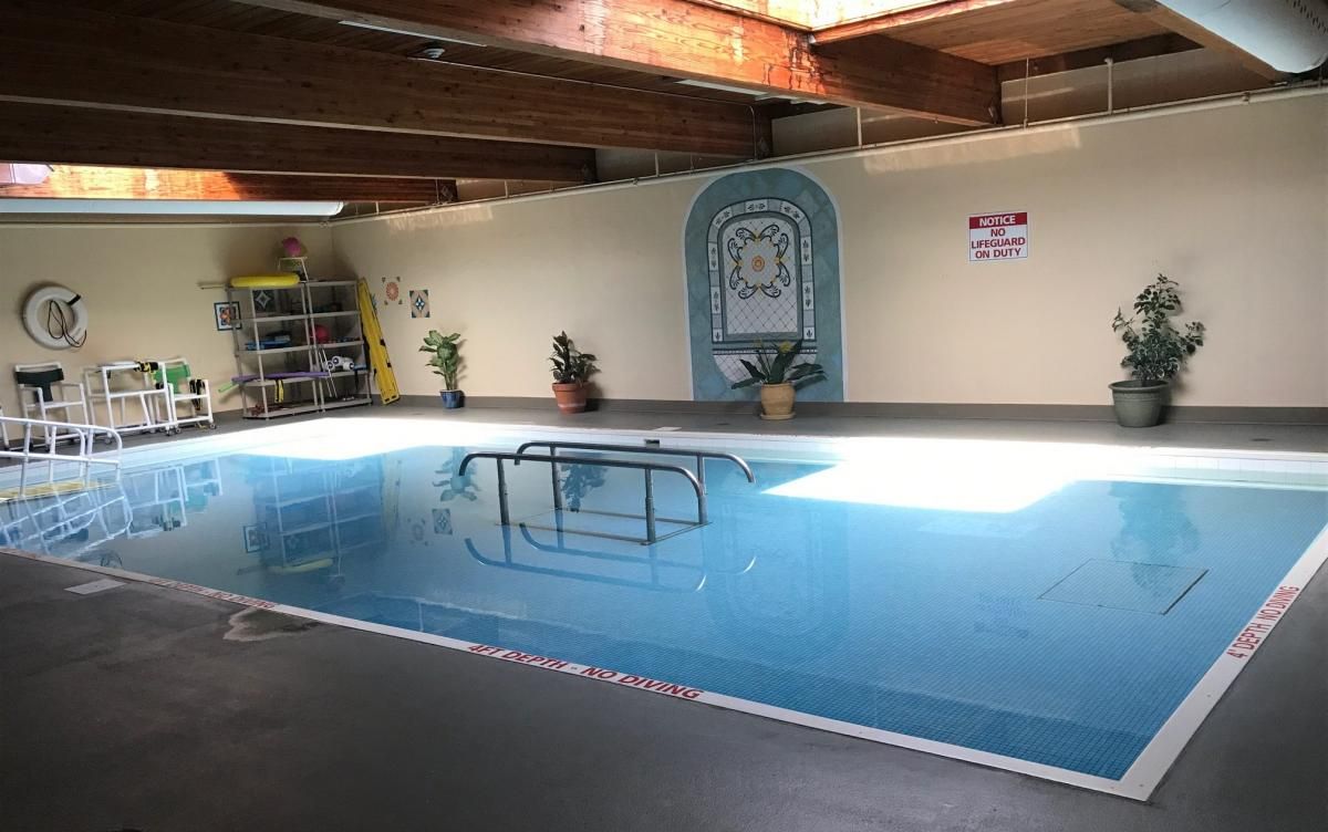 An indoor swimming pool with surrounding plants and modern architecture.