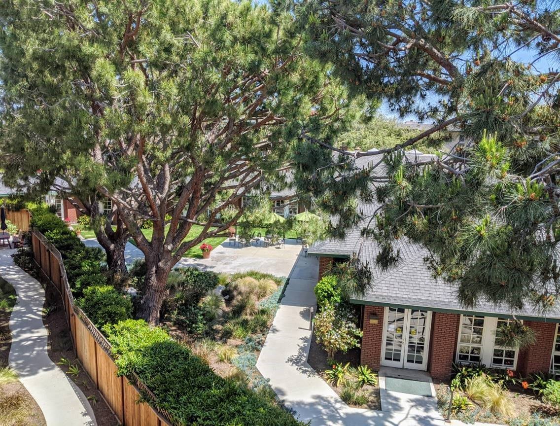 A serene garden view featuring a house, lush trees, and a pathway.