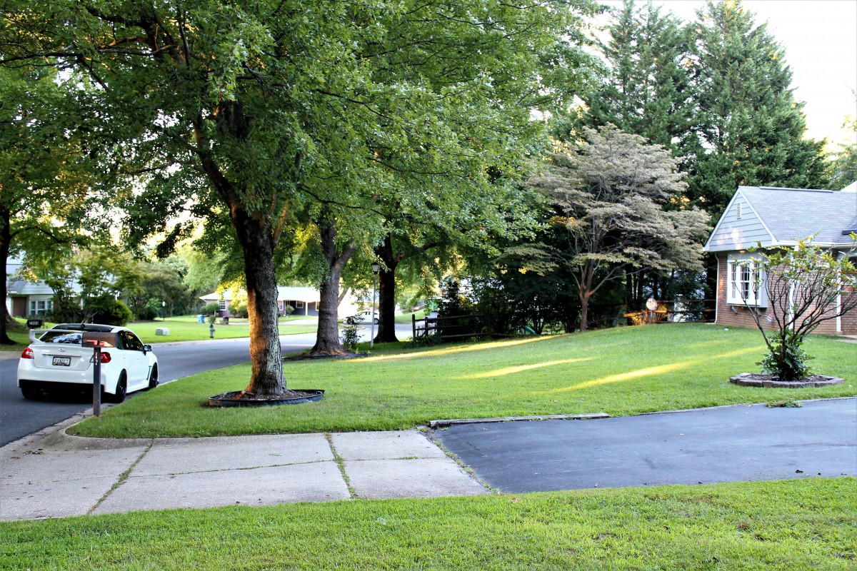 A quiet suburban neighborhood with a tree-lined street and neatly maintained lawns.