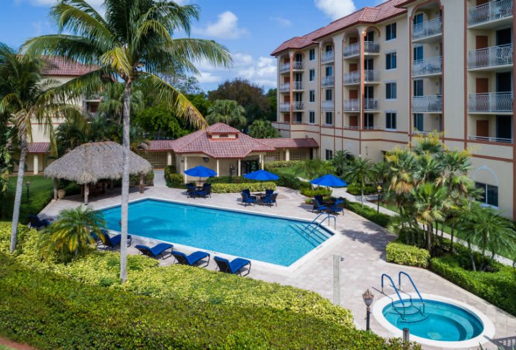 A tropical resort featuring a swimming pool surrounded by lounge chairs and palm trees.