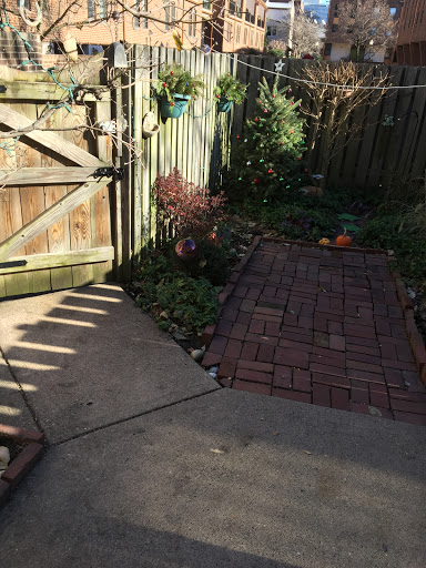 A serene garden pathway leading through a wooden gate, bathed in sunlight and surrounded by lush greenery.