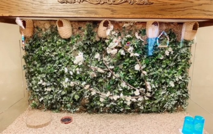 Decorative wall with greenery and hanging shoes.