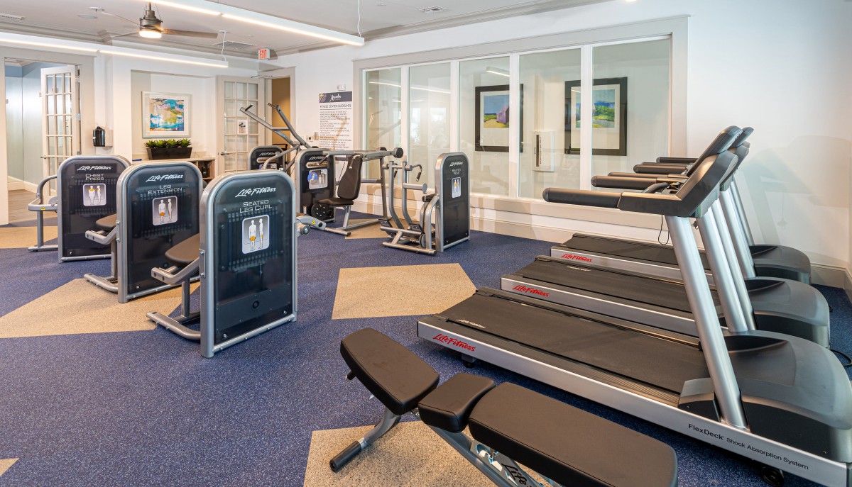 A well-equipped gym featuring multiple treadmills and fitness machines.