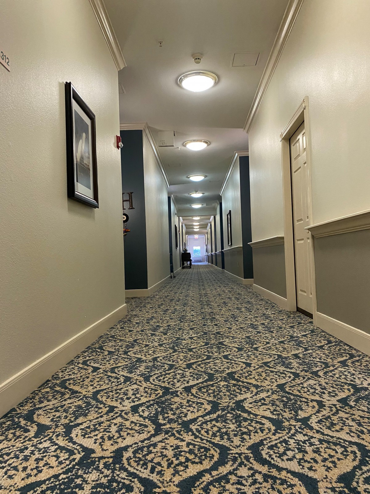 A long, carpeted hotel hallway with multiple doors on each side.