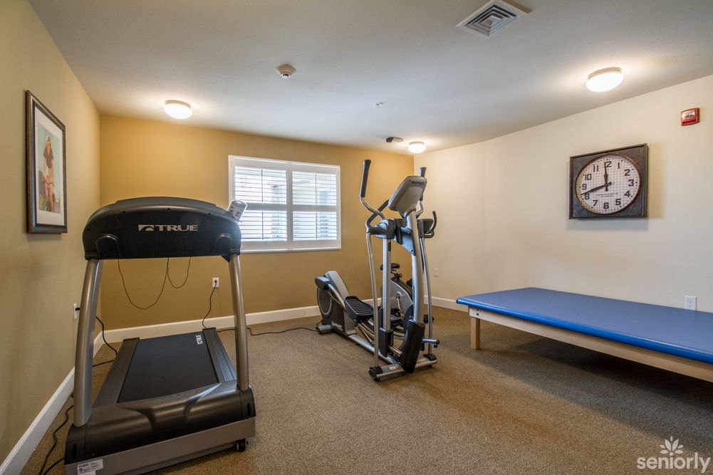 A small home gym with a treadmill, elliptical machine, and exercise mat.