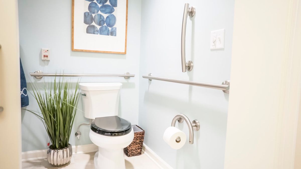 A clean and accessible bathroom featuring a toilet with grab bars, decorative elements, and a modern touch.