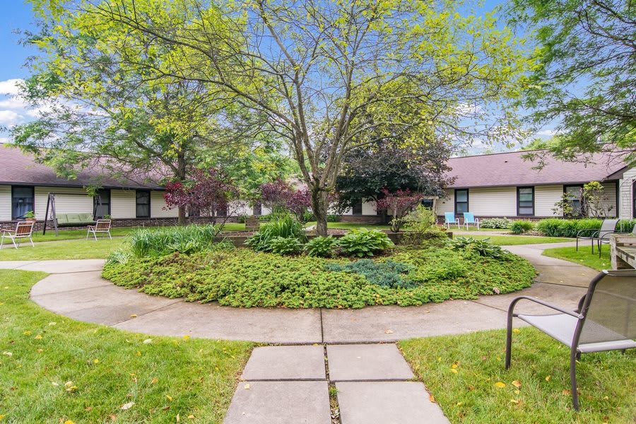A serene garden courtyard with lush greenery and winding pathways.