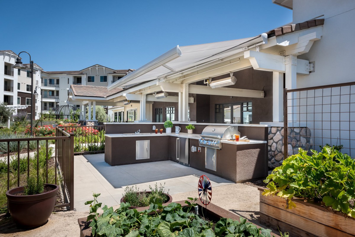 A modern outdoor kitchen and patio area with a grill, surrounded by garden landscaping on a sunny day.