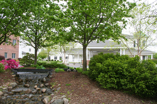 A serene garden scene showcasing lush green trees and well-maintained bushes.
