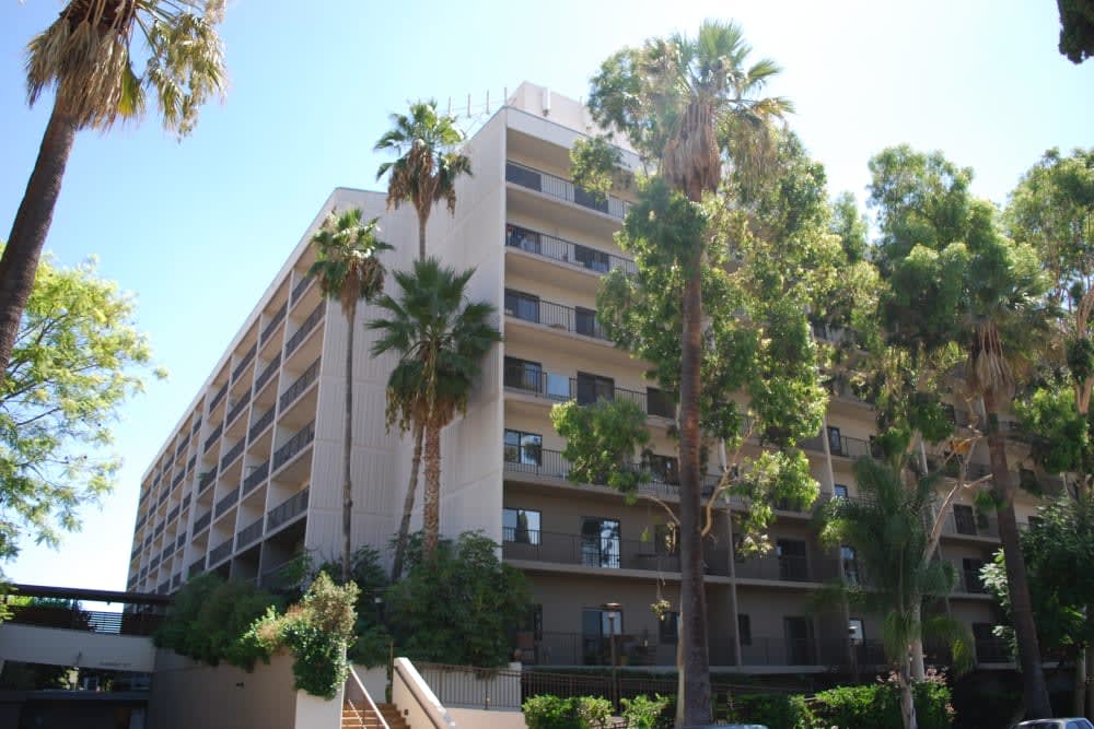 A multi-story apartment building surrounded by palm trees.