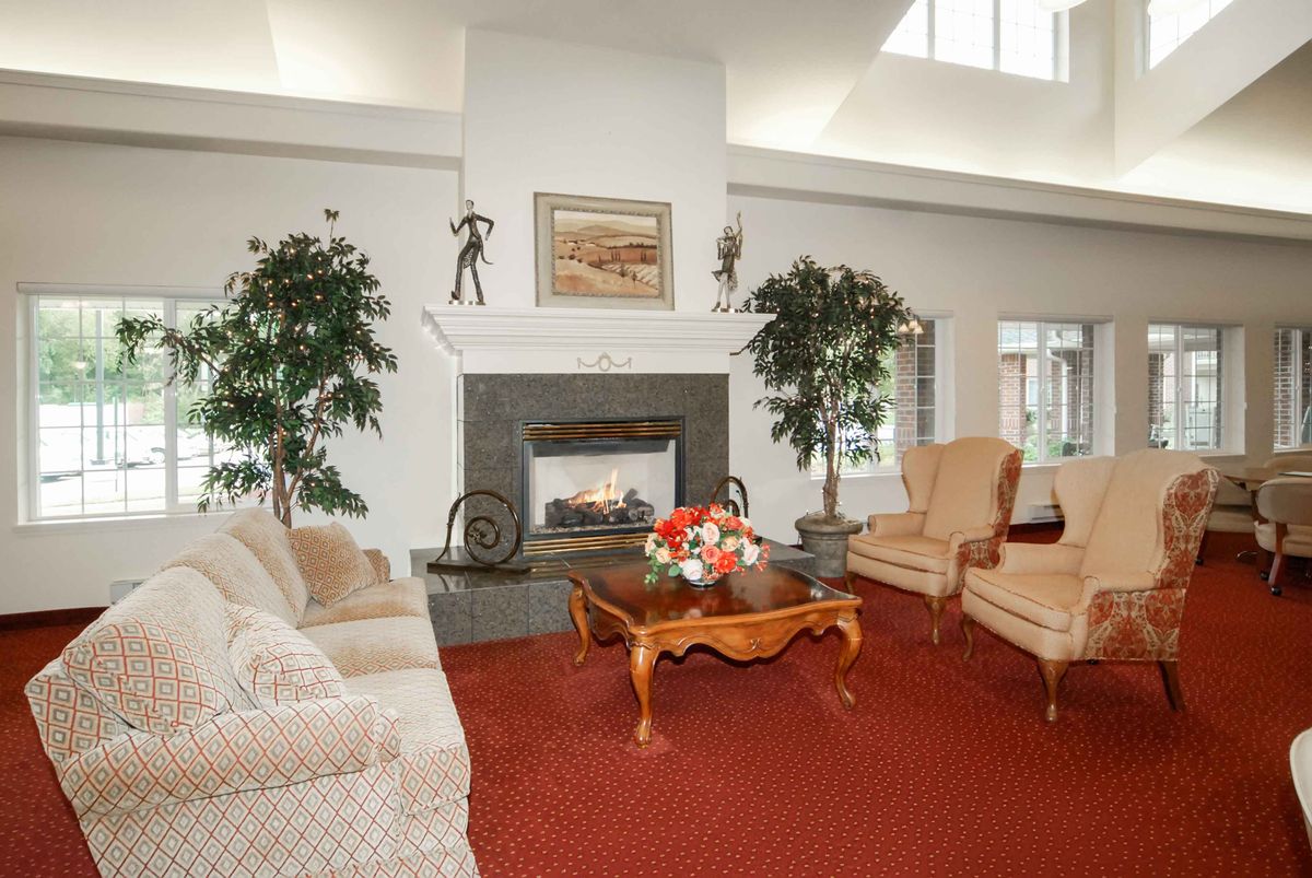 A traditionally styled living room featuring a central fireplace, elegant furniture, and decorative plants.