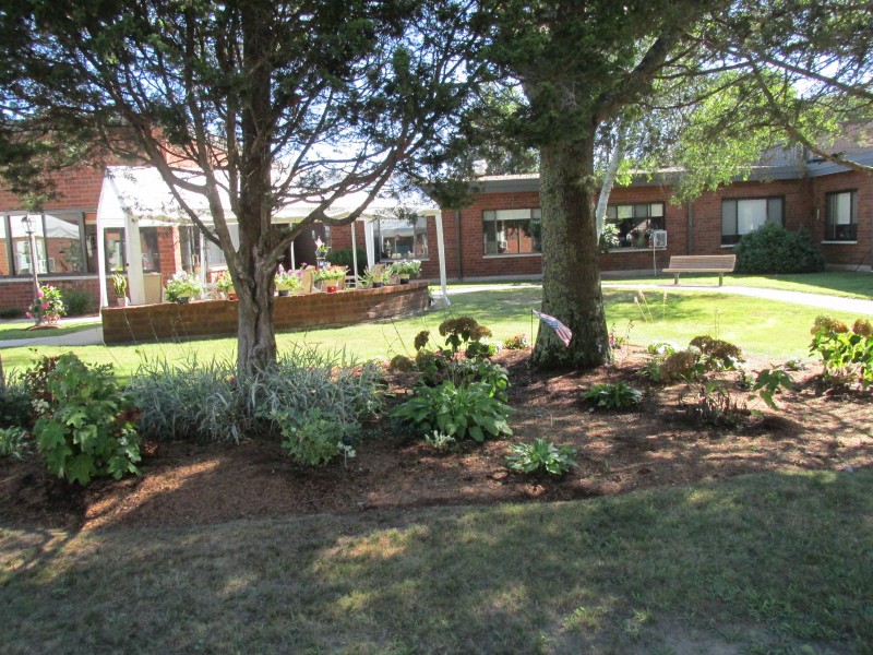 A landscaped garden area with trees and plants in front of a brick building.