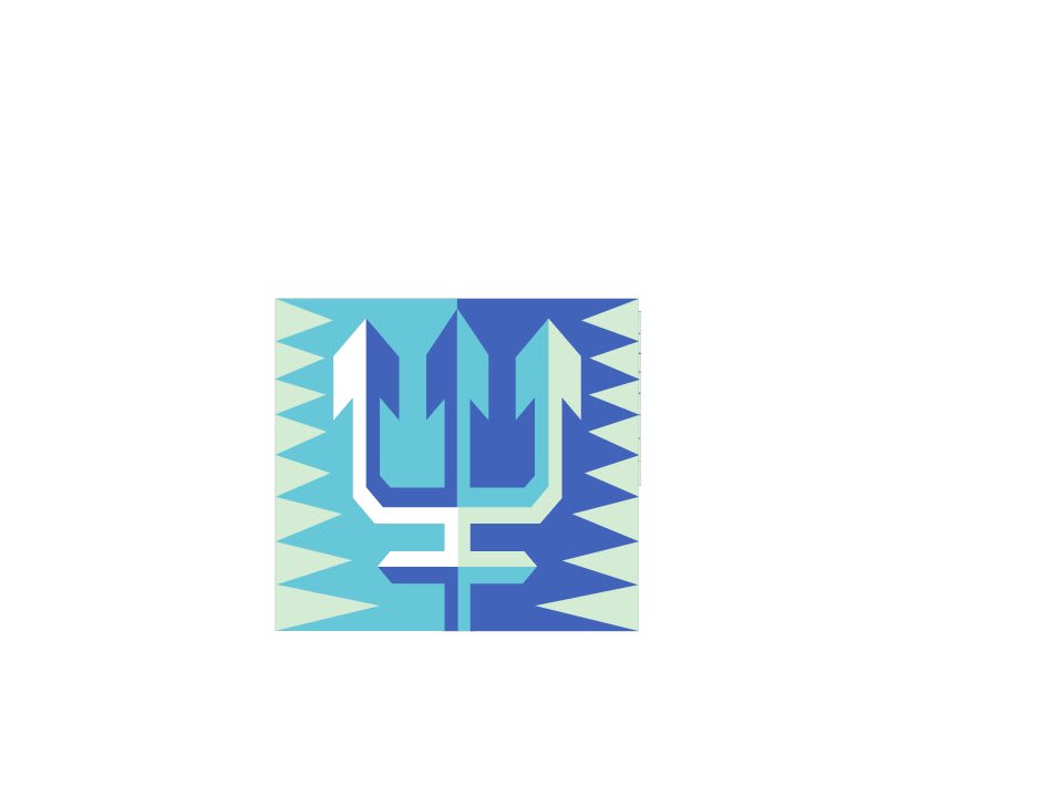 TridentCare Health Services,  Inc.
