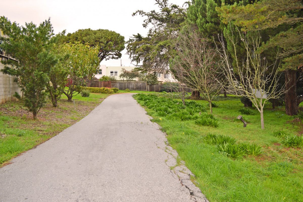 A peaceful pathway surrounded by trees and greenery in a park setting.