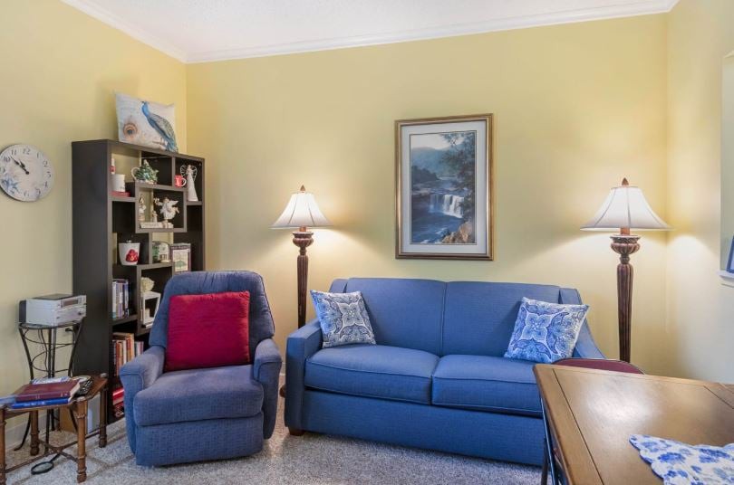 A cozy living room with a blue sofa, armchair, and bookshelf.