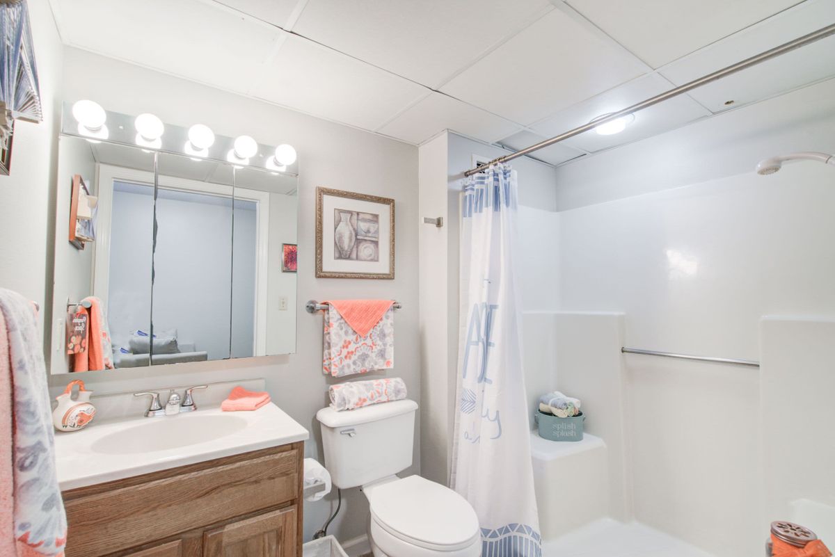 A well-lit bathroom with a mirror, sink, toilet, and shower, featuring decorative touches.