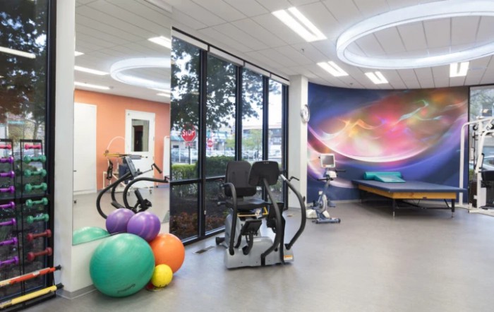 A modern gym area with vibrant walls, filled with exercise equipment and large windows allowing natural light.