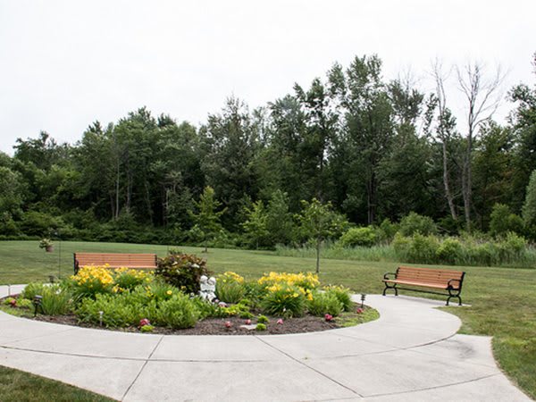 A tranquil park scene featuring a pathway surrounded by lush greenery and benches.