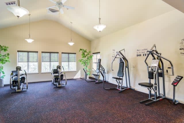 A well-lit gym with various fitness machines and large windows.