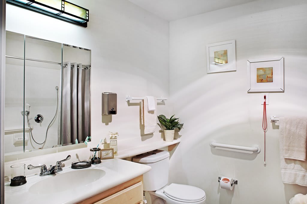 A modern bathroom featuring a sink, mirror, toilet, and decorative elements.