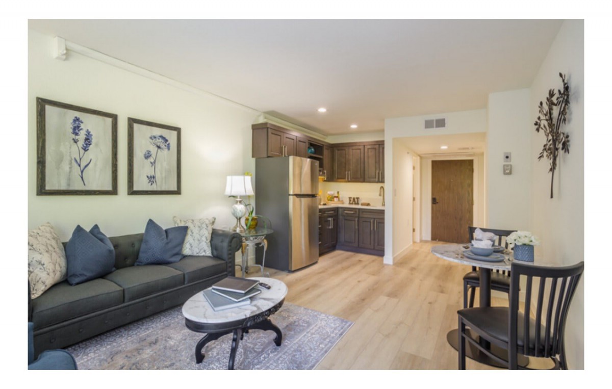 A modern apartment interior featuring a cozy living room with an adjacent kitchen.