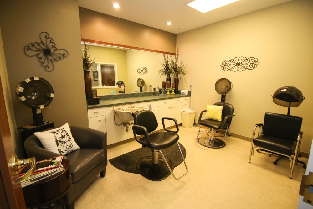 A cozy and well-decorated hair salon interior with chairs and mirrors.