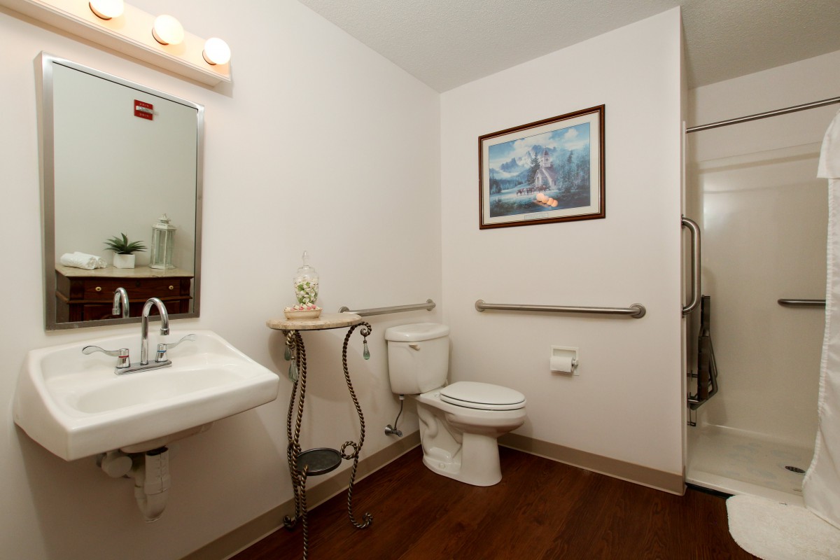 A well-organized bathroom with a toilet, sink, and mirror, featuring wall art and handrails for support.