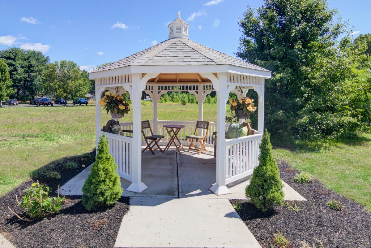 A charming white gazebo with outdoor seating surrounded by greenery and plants in a garden setting.