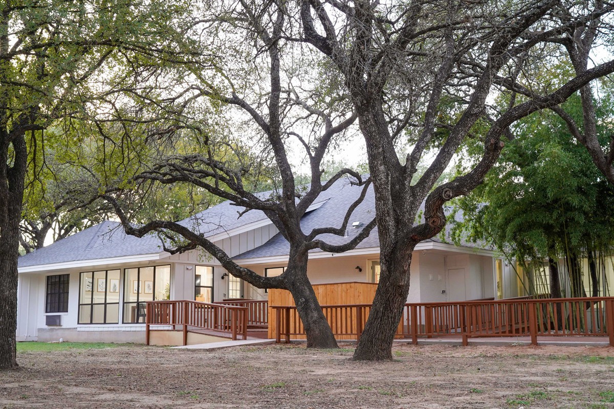 A modern house nestled among large trees, showcasing a blend of natural and architectural beauty.