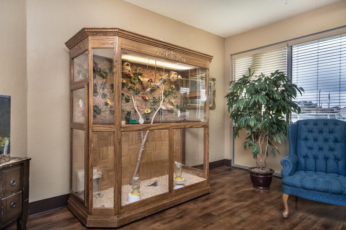 A wooden and glass bird cage with a parrot inside, placed in a living room next to a decorative plant.