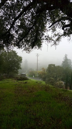 A serene and misty landscape, where the fog blankets the surroundings, creating an atmosphere of tranquility.