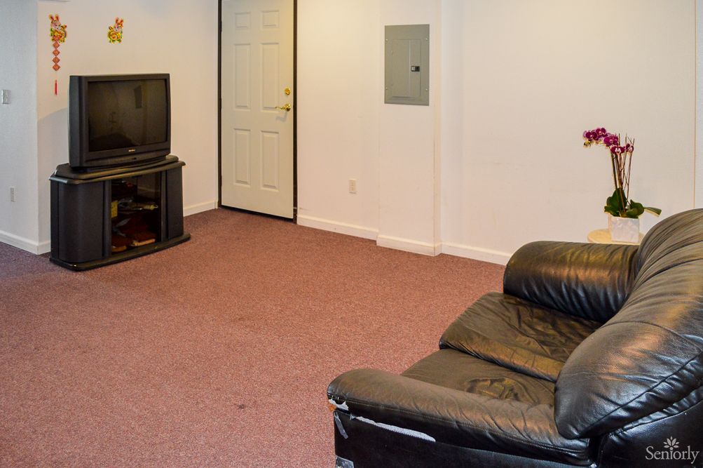 A simple living room with a television, a couch, and a carpeted floor.