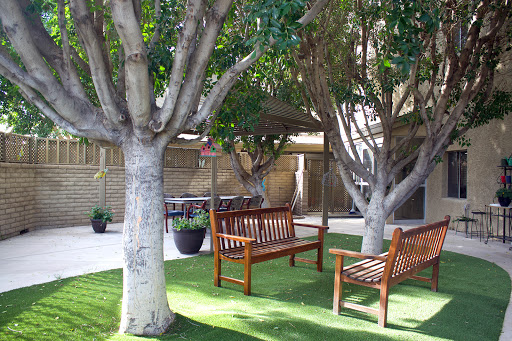 A serene outdoor space featuring wooden benches under lush trees, perfect for relaxation.