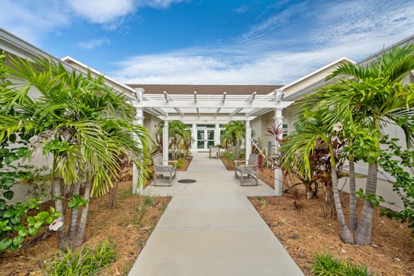 A scenic outdoor pathway lined with palm trees and a pergola overhead.