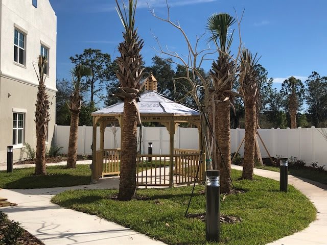 A sunny outdoor scene featuring a gazebo surrounded by palm trees and grass.