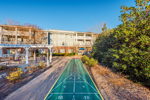 A vibrant shuffleboard court surrounded by lush greenery, ideal for community recreation.