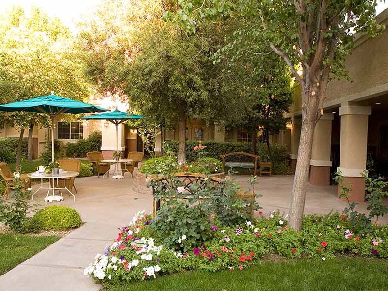 A peaceful garden patio with benches, flowers, and umbrellas creating a serene outdoor space.