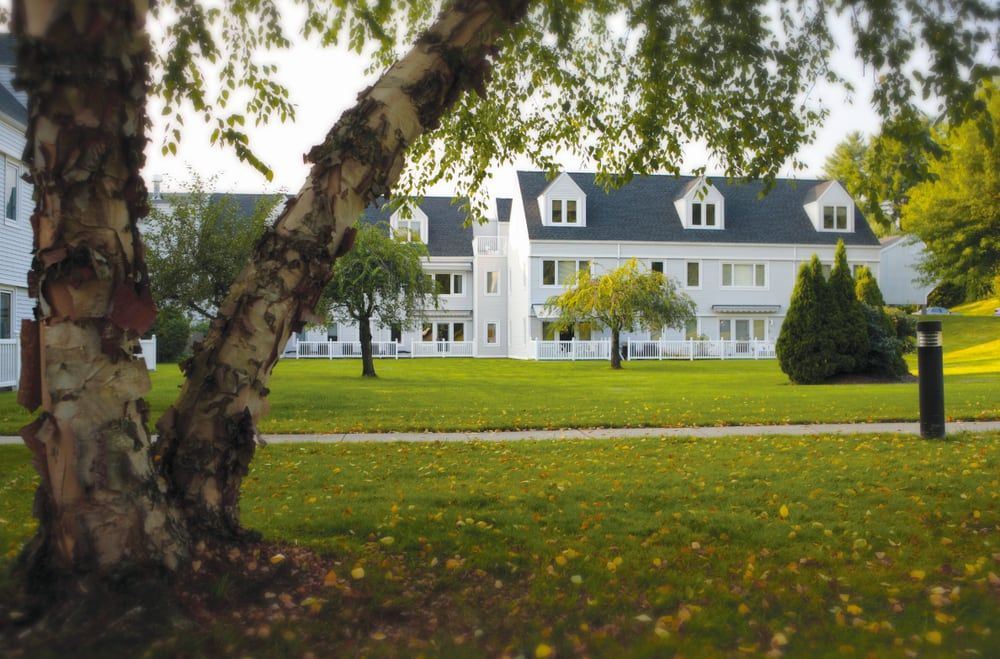 A picturesque view of a white building surrounded by lush greenery and trees.