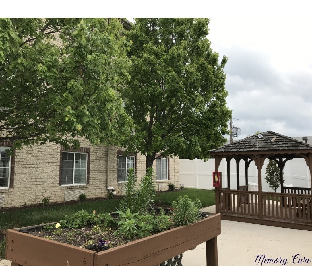 A landscaped garden with a tree and gazebo next to a building.