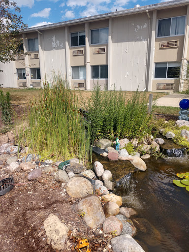 A serene pond surrounded by rocks and lush plants, with a building in the background.