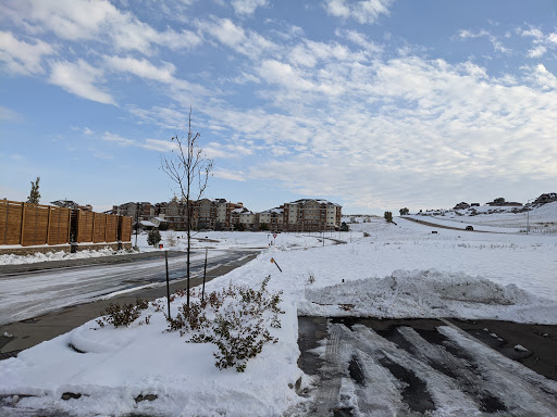 A serene winter landscape with fresh snow covering the ground and a clear blue sky.