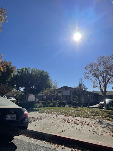 A bright day with clear skies and trees shedding autumn leaves in a quiet residential neighborhood.