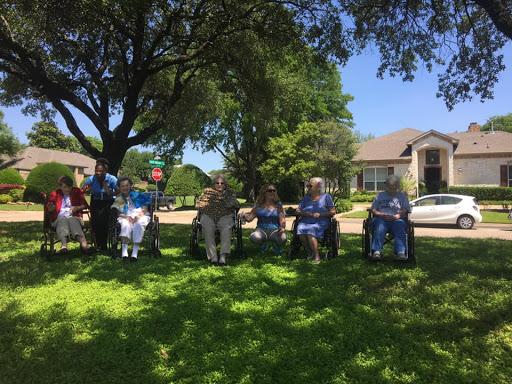 A group of seniors enjoying a sunny day in the park, sitting together on lawn chairs under the shade of a tree.