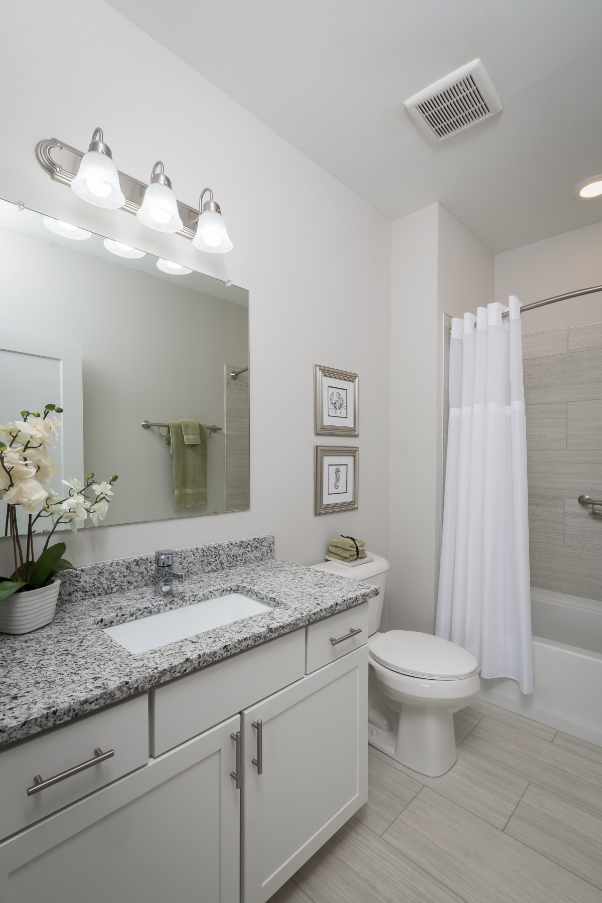 Sugar Maple Commons